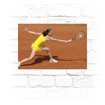 Jelena Jankovic Metal Wall Art