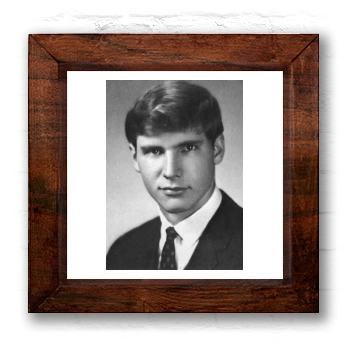 Harrison Ford 6x6