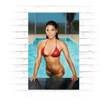 Olivia Munn Poster