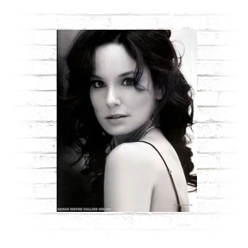 Sarah Wayne Callies Poster