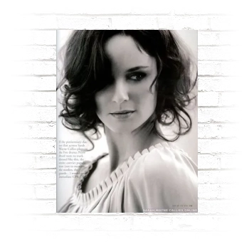 Sarah Wayne Callies Poster