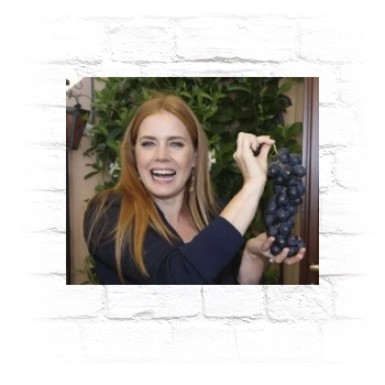 Amy Adams Metal Wall Art