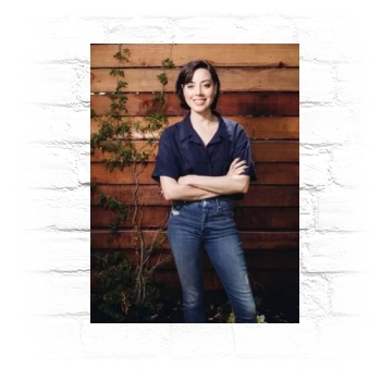 Aubrey Plaza Metal Wall Art