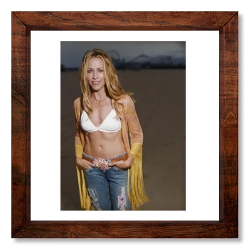 Sheryl Crow 12x12