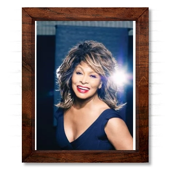 Tina Turner 14x17