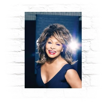 Tina Turner Metal Wall Art