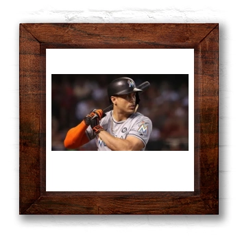 Giancarlo Stanton 6x6