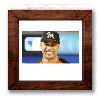 Giancarlo Stanton 6x6