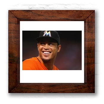 Giancarlo Stanton 6x6