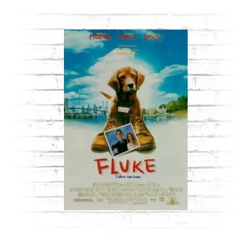 Fluke (1995) Poster