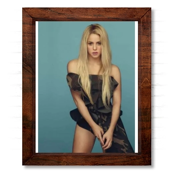 Shakira 14x17