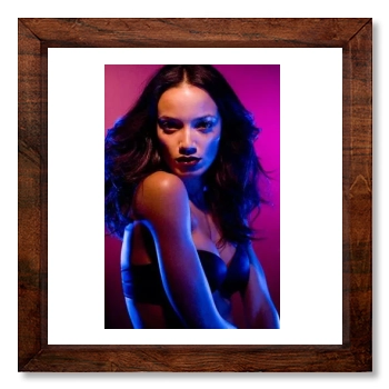 Selita Ebanks 12x12