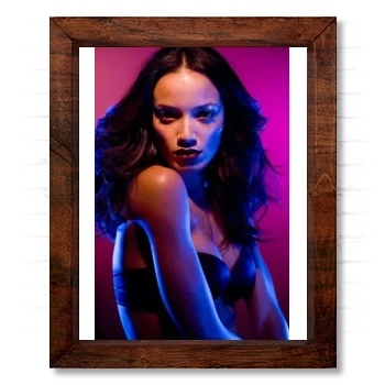 Selita Ebanks 14x17