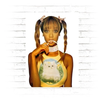 Tyra Banks Poster