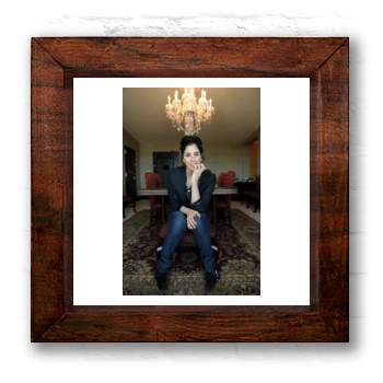 Sarah Silverman 6x6