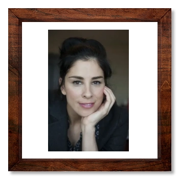 Sarah Silverman 12x12