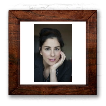 Sarah Silverman 6x6