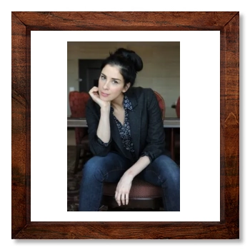 Sarah Silverman 12x12