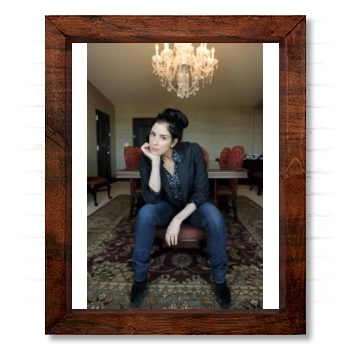 Sarah Silverman 14x17