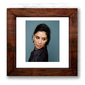 Sarah Silverman 6x6