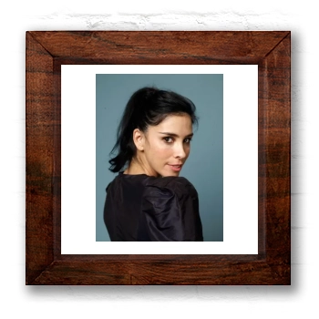 Sarah Silverman 6x6