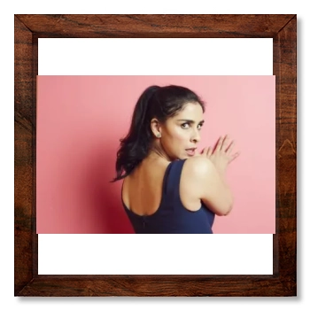 Sarah Silverman 12x12