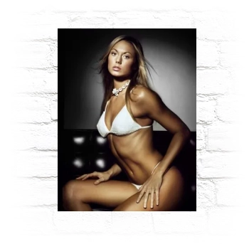 Stacy Keibler Metal Wall Art