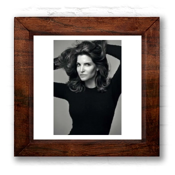 Stephanie Seymour 6x6