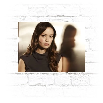 Summer Glau Metal Wall Art