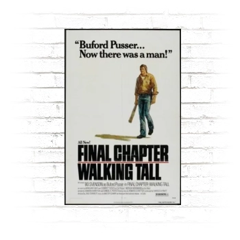 Final Chapter Walking Tall (1977) Poster