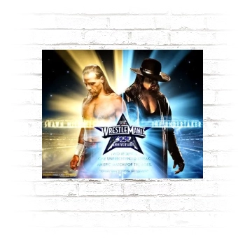 The Undertaker Poster