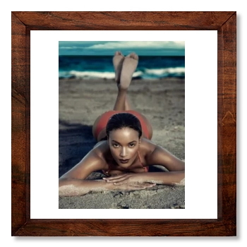 Selita Ebanks 12x12