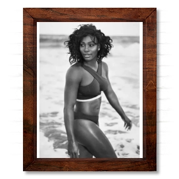 Serena Williams 14x17