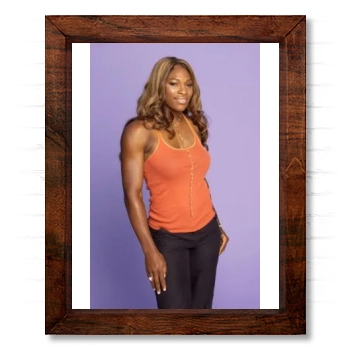 Serena Williams 14x17