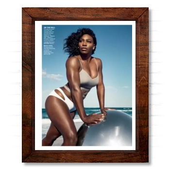 Serena Williams 14x17