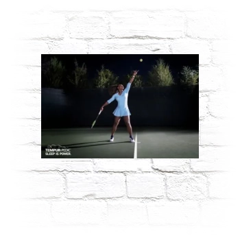 Serena Williams Metal Wall Art