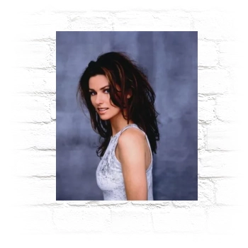 Shania Twain Metal Wall Art