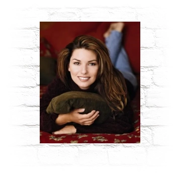 Shania Twain Metal Wall Art