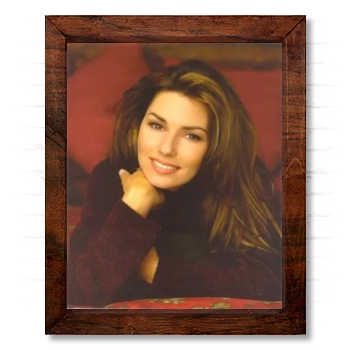 Shania Twain 14x17