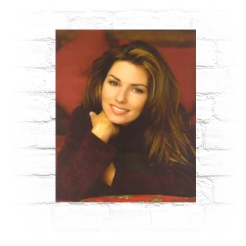 Shania Twain Metal Wall Art