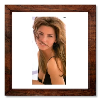 Shania Twain 12x12