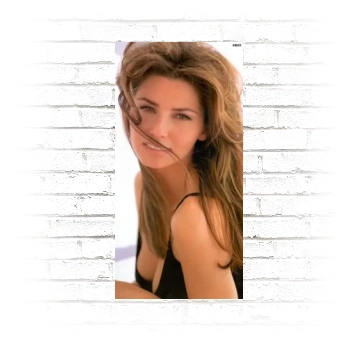 Shania Twain Poster