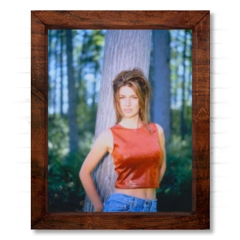 Shania Twain 14x17