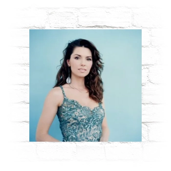 Shania Twain Metal Wall Art