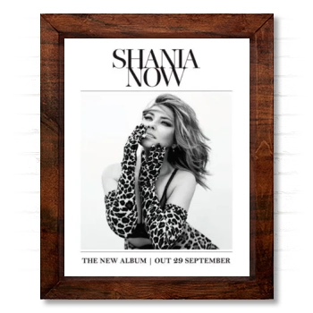 Shania Twain 14x17