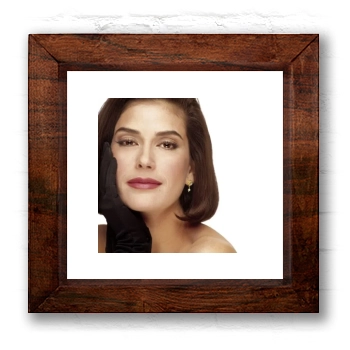 Teri Hatcher 6x6