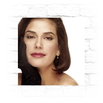 Teri Hatcher Metal Wall Art