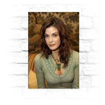 Teri Hatcher Metal Wall Art