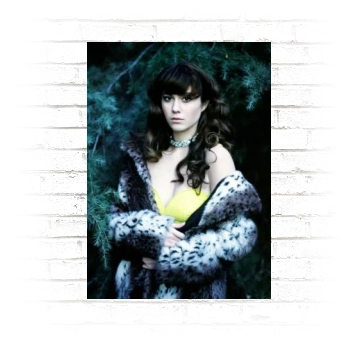 Mary Elizabeth Winstead Poster