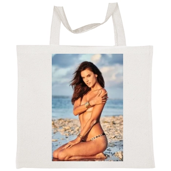 Alessandra Ambrosio Tote